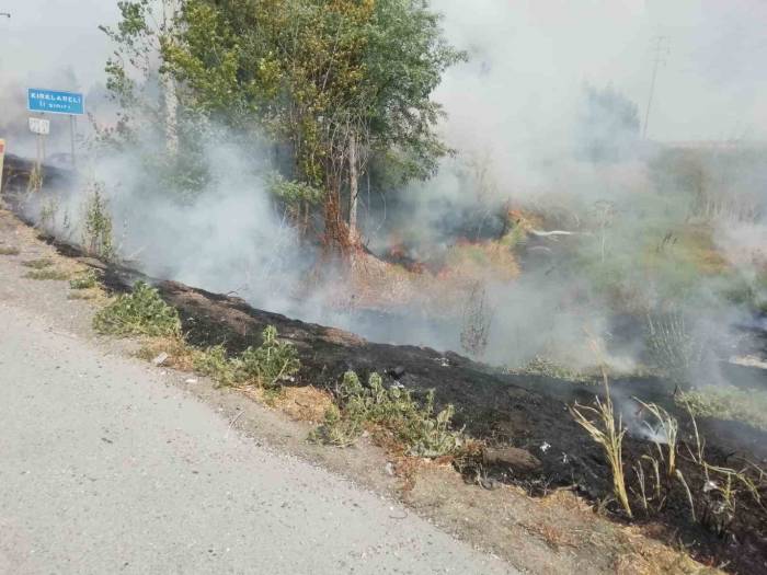 Tekirdağ’da Ağaçlık Alan Kül Oldu