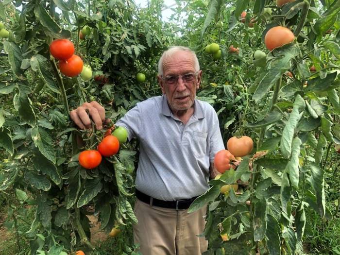 Seracılık Üreticinin Yüzünü Güldürüyor