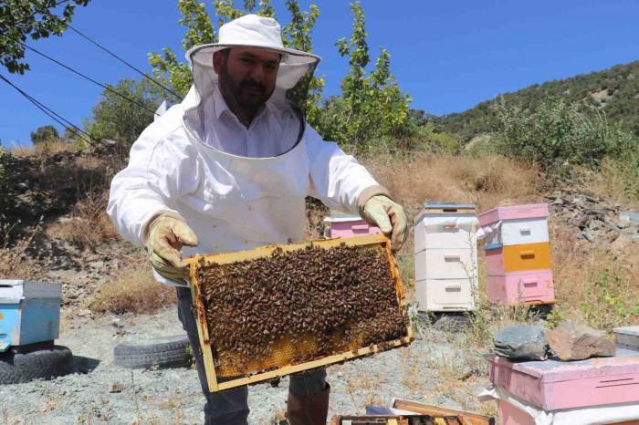 Mevsim Normallerinin Üzerindeki Sıcaklıklar Aracılığı Olumsuz Etkiliyor
