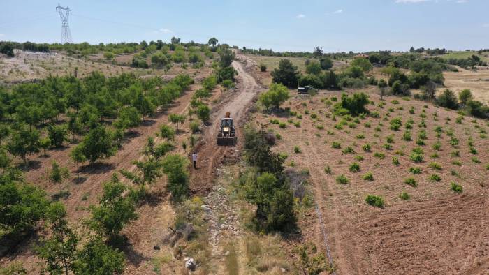 Turizm İlçesi Pamukkale’de Tarım Da Gelişiyor