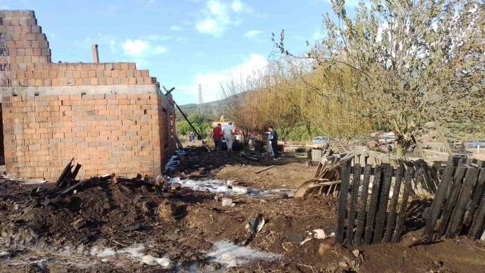 Yalova’da Yanan Ahırda 6 Küçükbaş Hayvan Telef Oldu