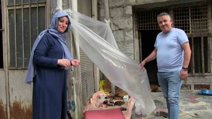 Sokak Köpeği Ve 12 Yavrusuna Esnaf Sahip Çıktı