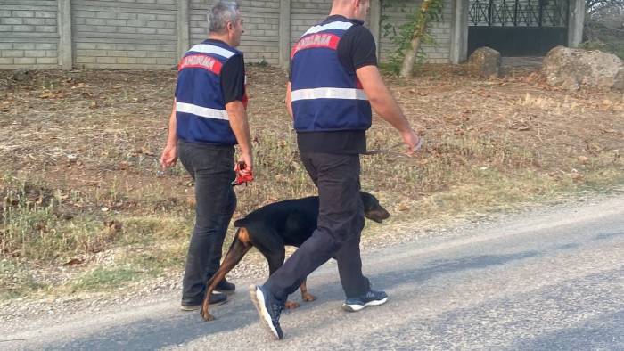 Tina, Sahibi Korhan Berzeg’i Arıyor
