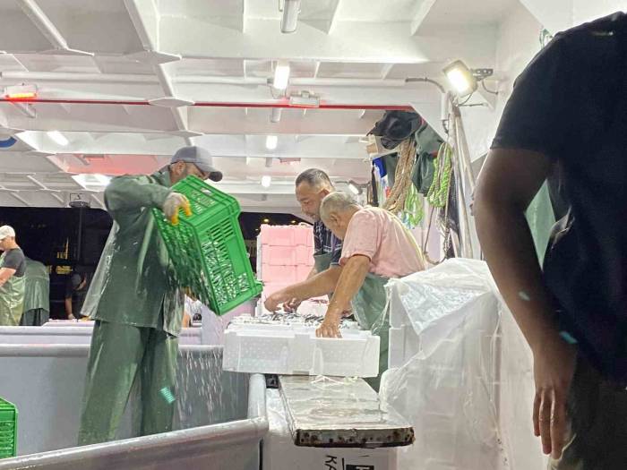 Av Yasağı Bitti, Sezonun İlk Balıkları Avlandı