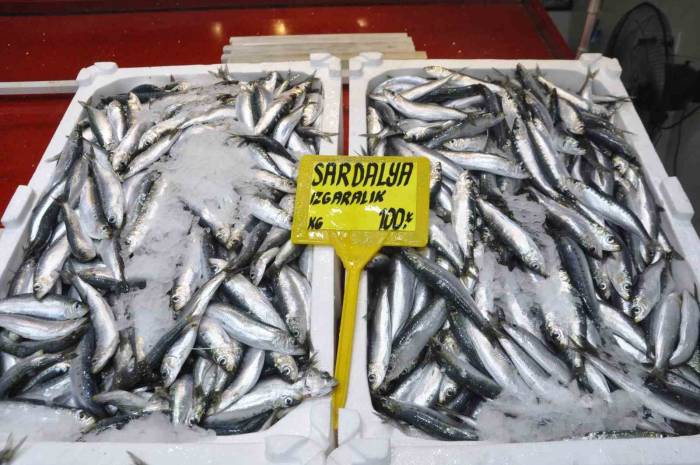 Av Sezonunun İlk Gününde Sardalyenin Fiyatı Yarı Yarıya Düştü