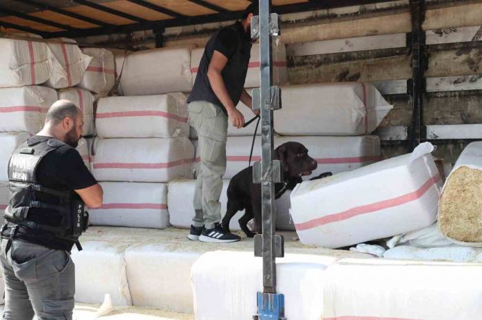 Saman Balyalarının Arasından 279 Kilo Uyuşturucu Çıktı