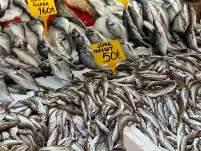 Sezonun İlk Balıkları Tezgahlarda