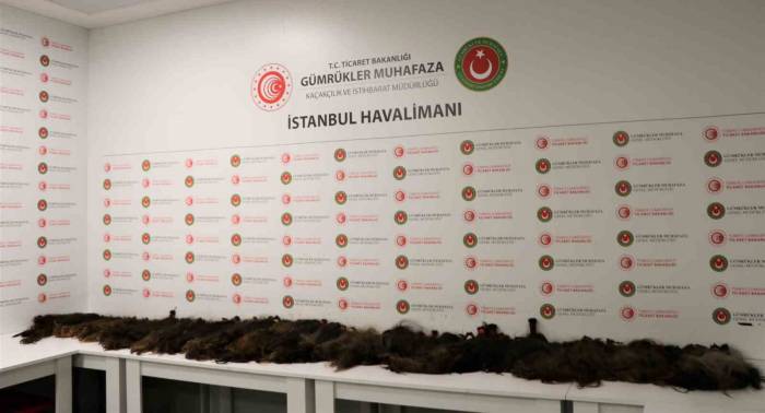 İstanbul’da İnsan Saçı Kaçakçılarına Gümrük Muhafaza Engeli