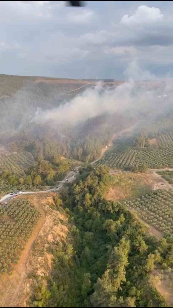 Bursa’daki Yangın Havadan Görüntülendi
