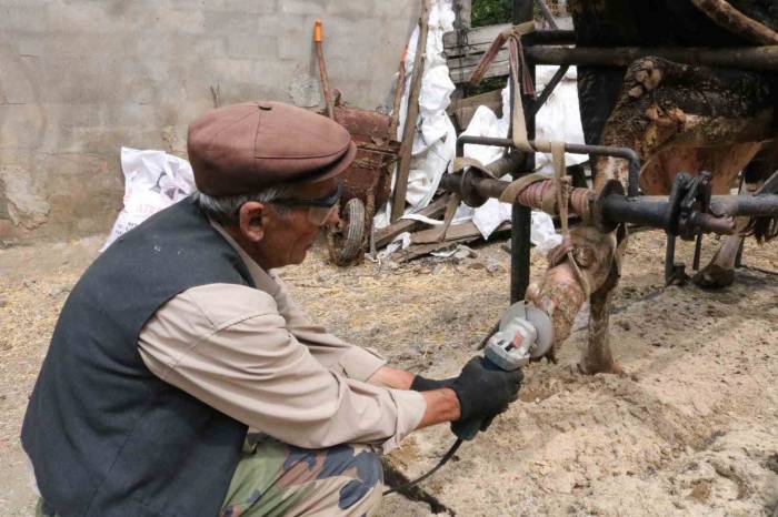 İneklere Manikür - Pedikür Yapıyor
