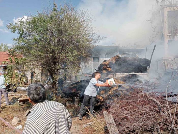 Gediz’de Meydana Gelen Yangında Traktör Yandı, Hayvanlar Telef Oldu