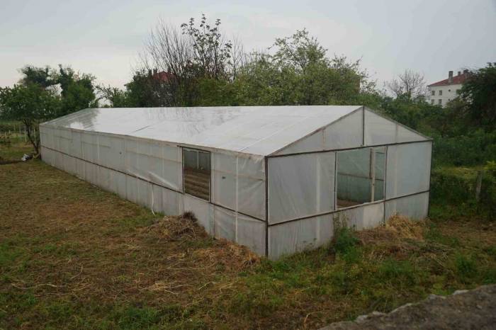 Kastamonu’da Kadınlar Bu Projelerle Gelirlerini Arttıracak