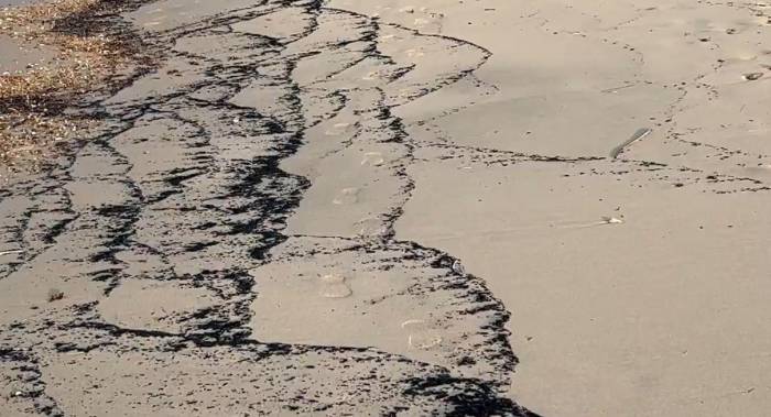 Orman Yangını Kalıntıları, Sahili Siyaha Bürüdü