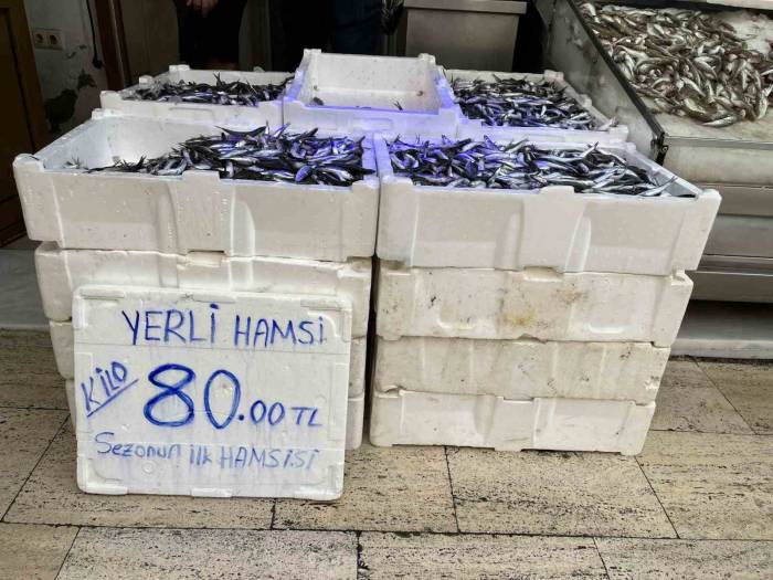 Yeni Sezon Balıkları Tezgahlarda