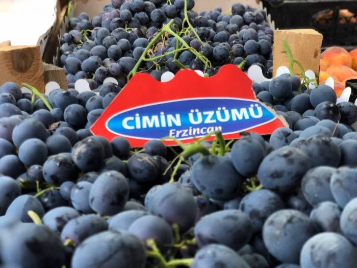 Tescilli Cimin Üzümünde Hasat Zamanı