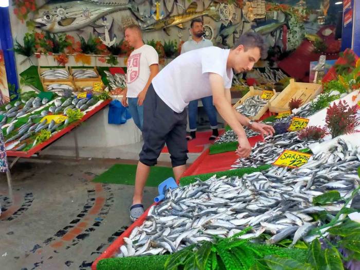 Yeni Sezonda Hamsi Ve İstavrit Bolluğu Görülebilir