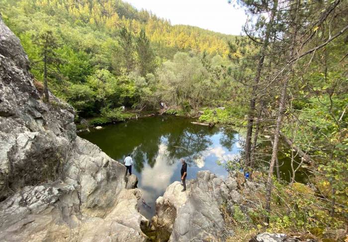 Ağaçlar Arasındaki Saklı Havuz Keşfedilmeyi Bekliyor