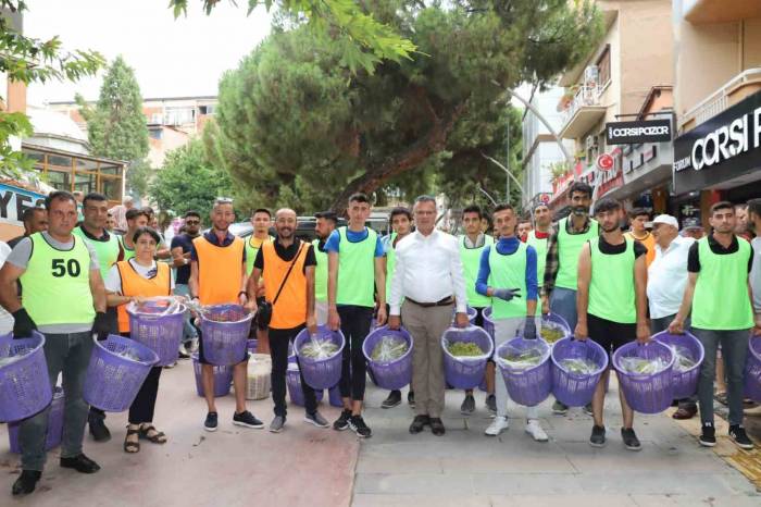 Üzümün Memleketinde Kıyasıya Yarış