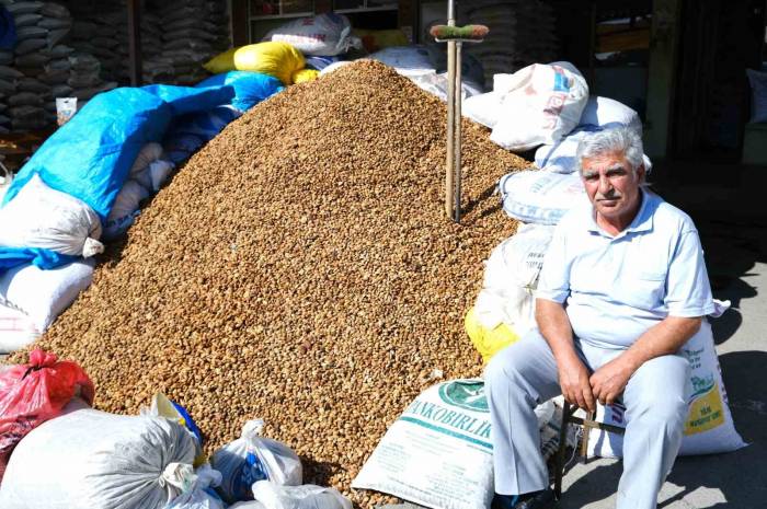 Erzincan’dan Malatya’ya 30 Ton Acı Kayısı Çekirdeği Gönderiliyor