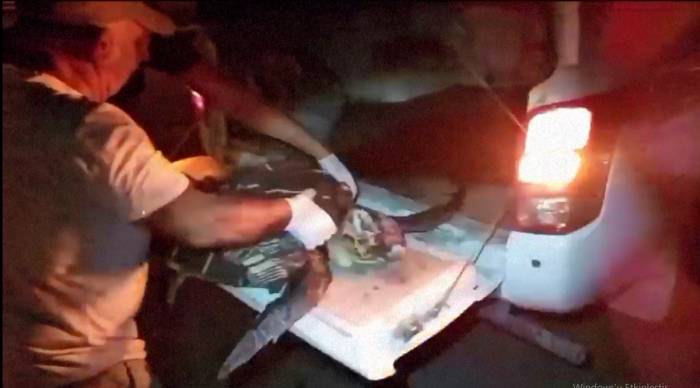 Yaralı Olarak Bulunan Deniz Kaplumbağası İçin Seferber Oldular