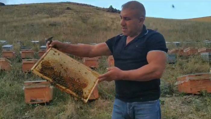 Karslı ‘Arı Adam’ Sınırları Zorluyor