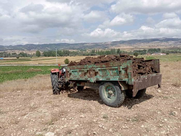 El Frenini Çekmeyi Unuttuğu Traktörün Altında Kaldı