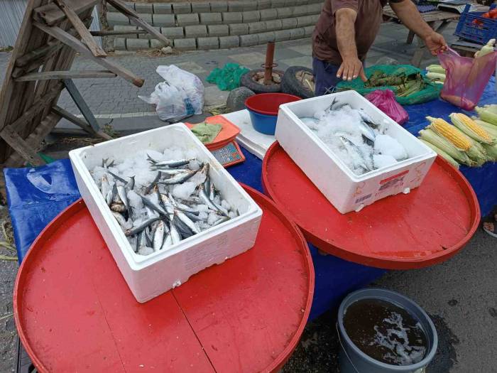 Av Sezonu Başladı, Fiyatlar Geriledi