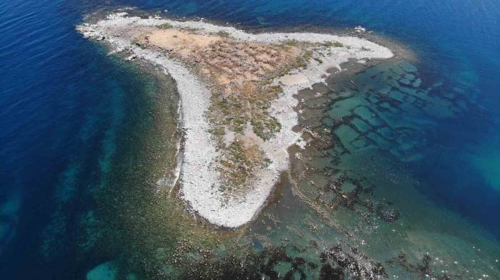 Van Gölü’nde Su Seviyesi Düştü: Adacık Gün Yüzüne Çıktı