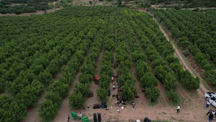 Coca-cola Türkiye’den Bursa’da Su Geri Kazanım Projesi