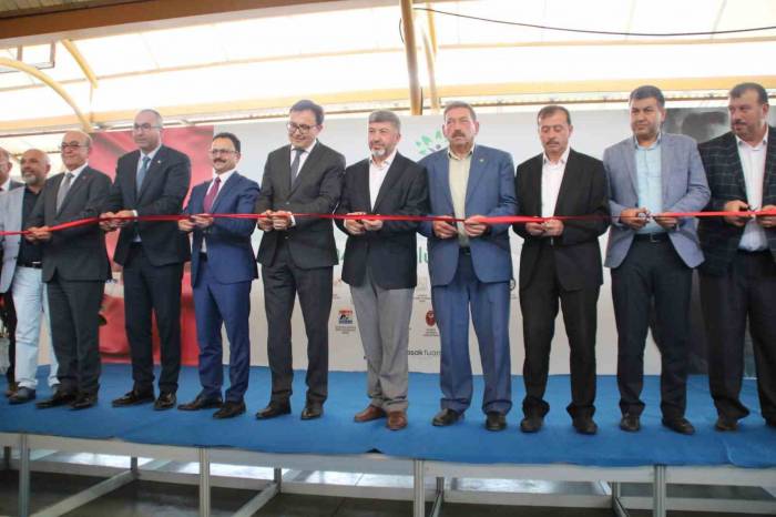 Gediz’de Tarım Ve Hayvancılık Fuarı