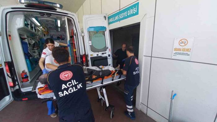 Ağaçtan Düştü, Kalbine Dal Parçası Saplandı