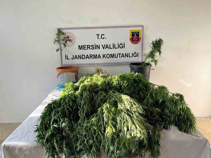 Mersin’de Uyuşturucu Satıcılarına Operasyon: 3 Gözaltı