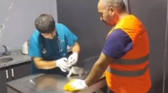 Yavru Kediyi Kurtarıp, Ağır Hasarlı Binanın Yıkımına Devam Ettiler