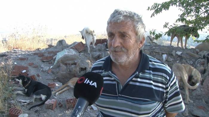 Sokak Köpeklerini Beslediği İçin Komşusunun Silahlı Saldırısına Uğradı