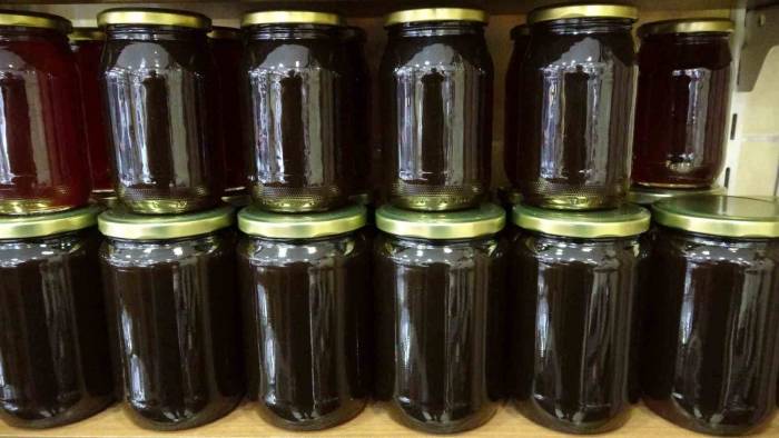 Kestane Balı Üretiminde Büyük Düşüş