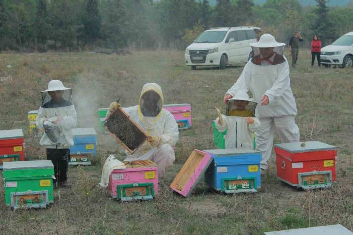 Gökkuşağı Renkleriyle Bal Üretimi