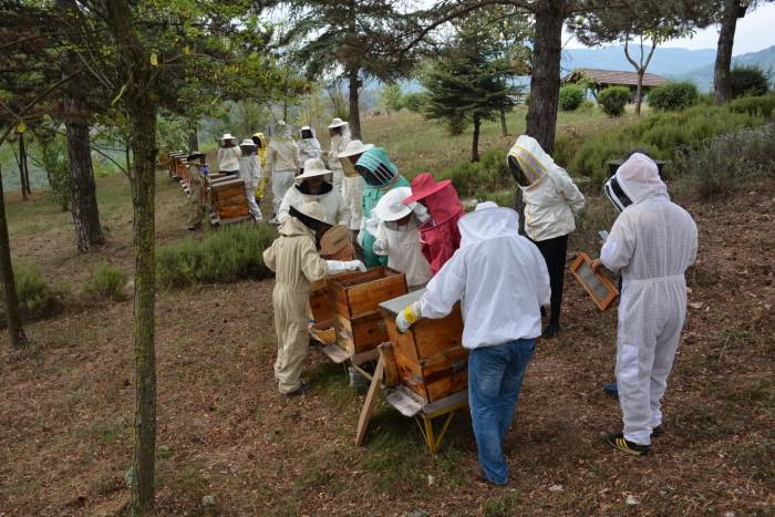 Arı Zehri Üretim Kursu Sona Erdi