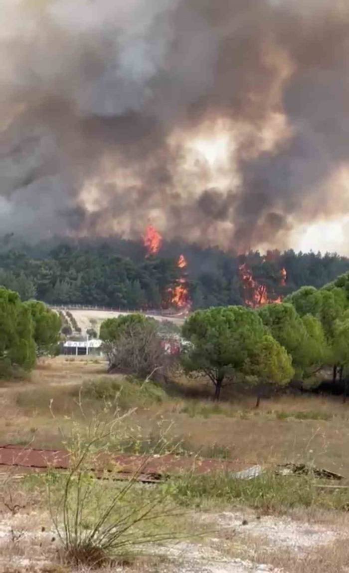 İzmir’deki Orman Yangını Kontrol Altında