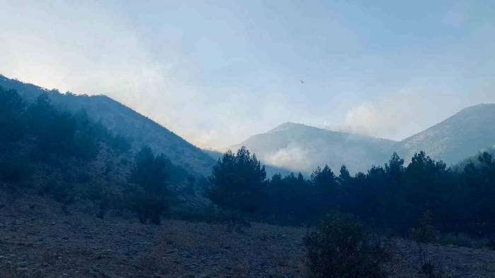 Kahramanmaraş’taki Orman Yangını Kontrol Altına Alındı