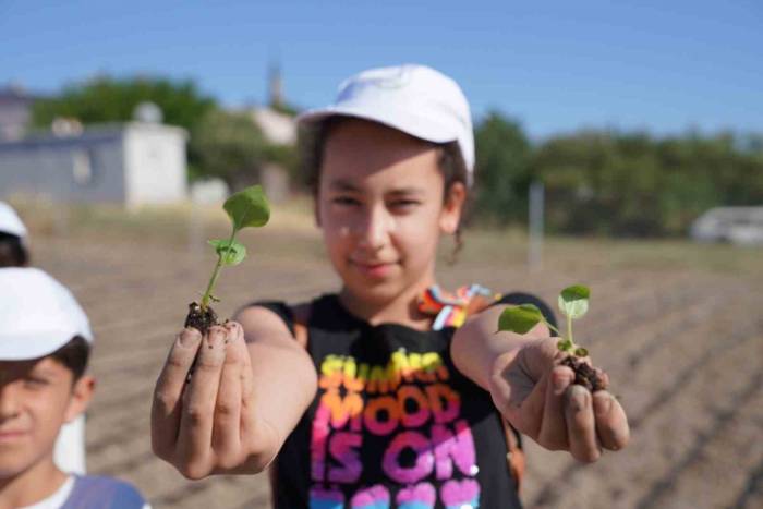 Seferihisar’ın Yüzü Tarımla Gülüyor
