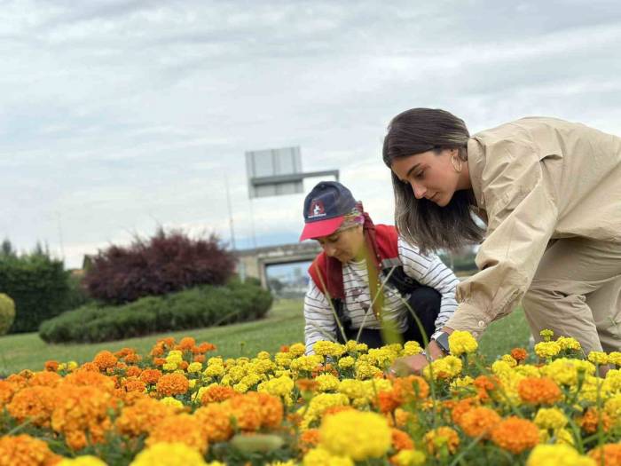 Kervan Kavşağı Çiçekleniyor