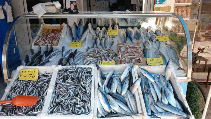 Palamut Sürpriz Yaptı