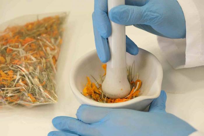 Çiğdemin Şifa Dolu Sırları Ortaya Çıktı