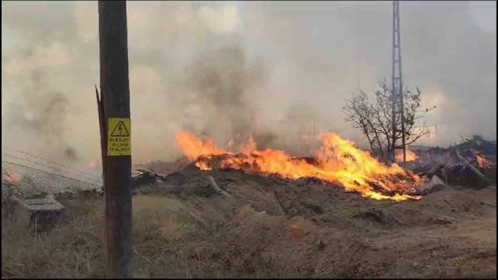 Yalova’da Arazi Ve Çöp Yangını