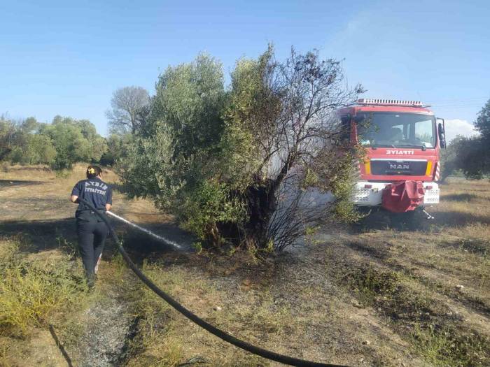 Aydın Büyükşehir İtfaiyesi’nden Umurlu’daki Yangına Hızlı Müdahale