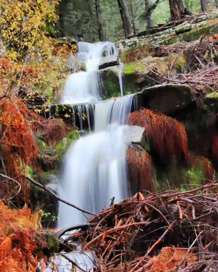 Kimi Sesine Kimi De Görüntüsüne Hayran Kalıyor