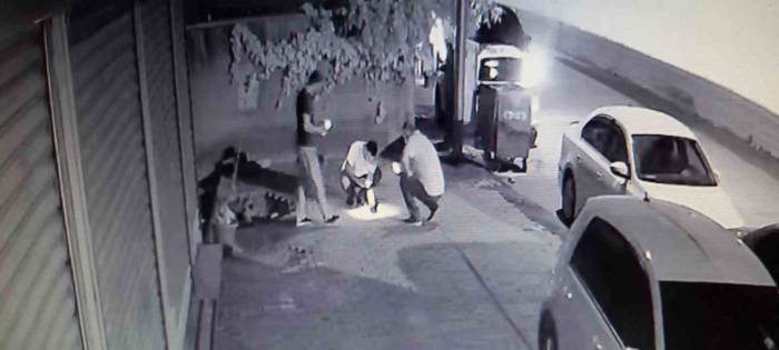 Dakikalarca Kalp Masajı Yapılan Kuş Hayata Döndürüldü