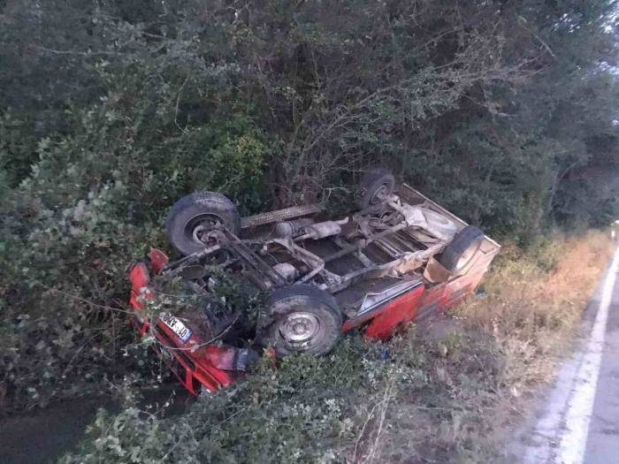 Kastamonu’da Yola Çıkan Ceylana Kamyonet Çartı: 2 Yaralı