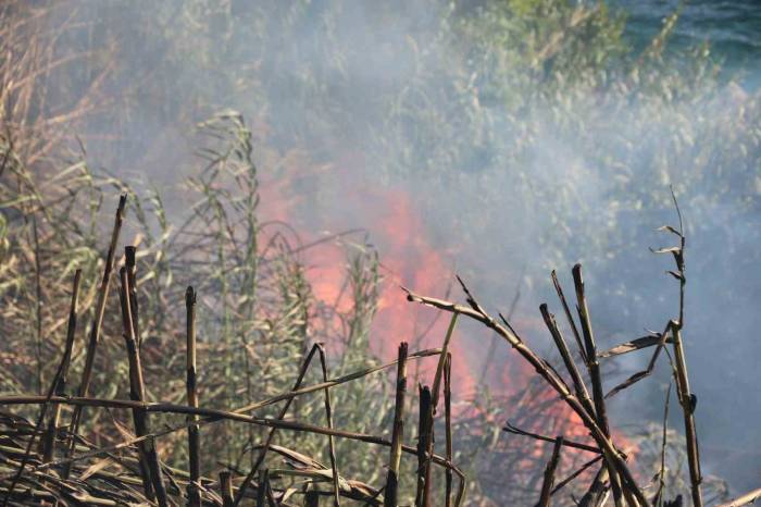 Antalya’da Falezlerde Yangın Paniği