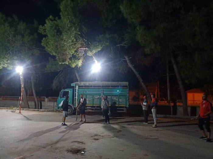 Topu Almak İsterken Ağaçta Mahsur Kaldı